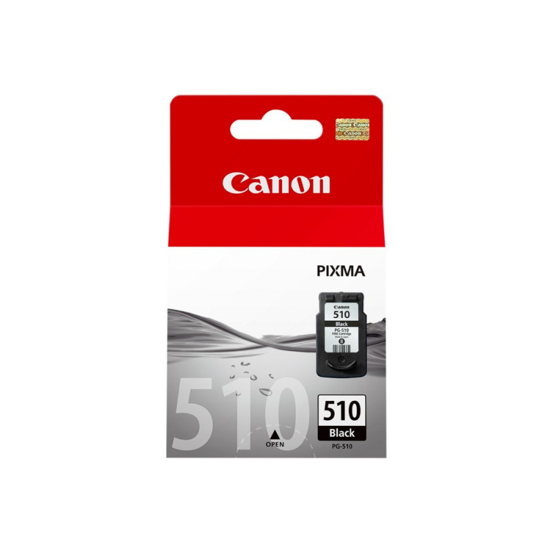 Canon 2970B001 Originele Foto Zwarte Inktcartridge